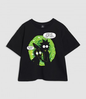 کراپ باکسی ریک و مورتی